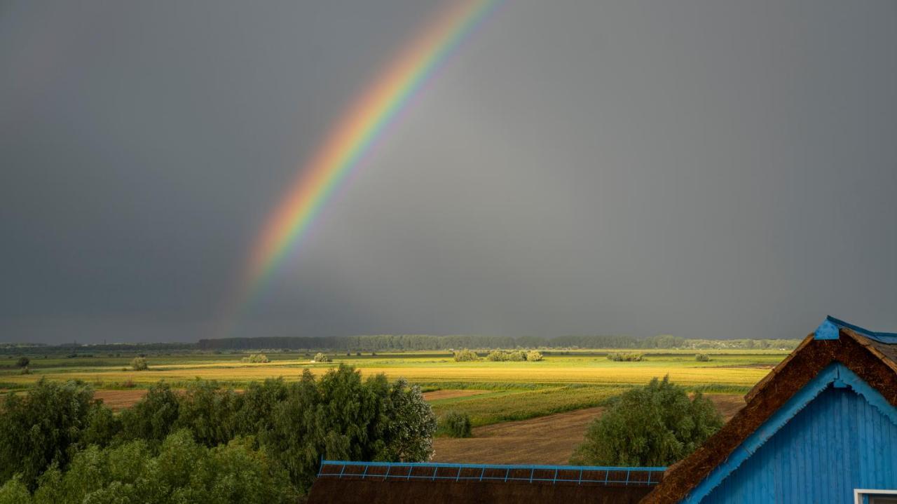 Nena Art Resort Dunavăţu de Jos المظهر الخارجي الصورة