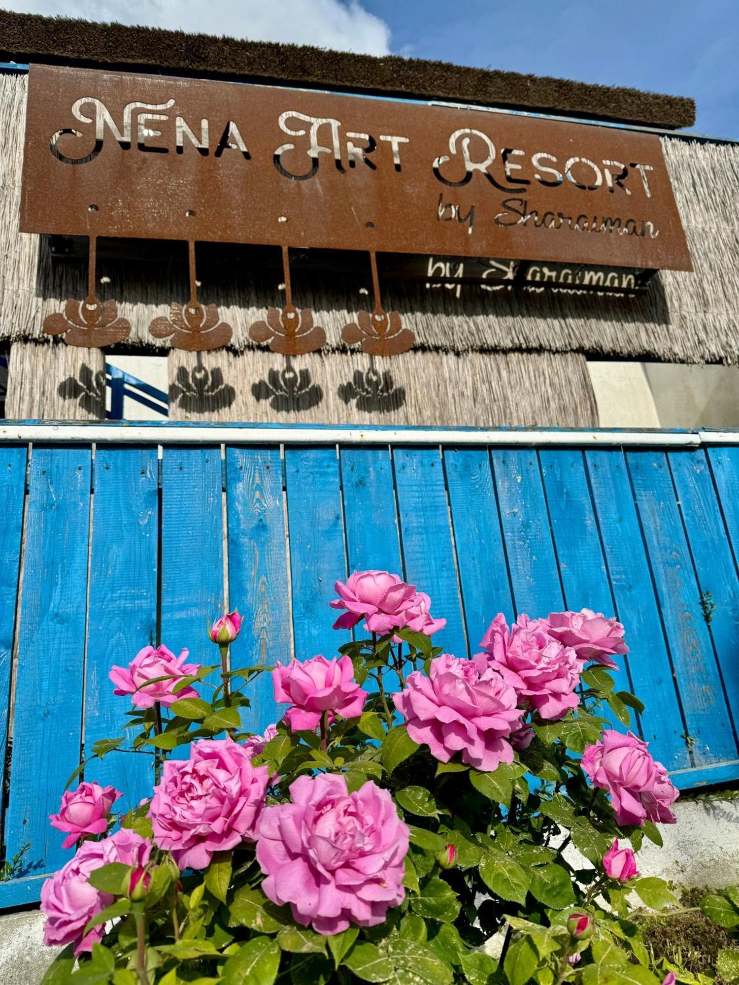 Nena Art Resort Dunavăţu de Jos المظهر الخارجي الصورة