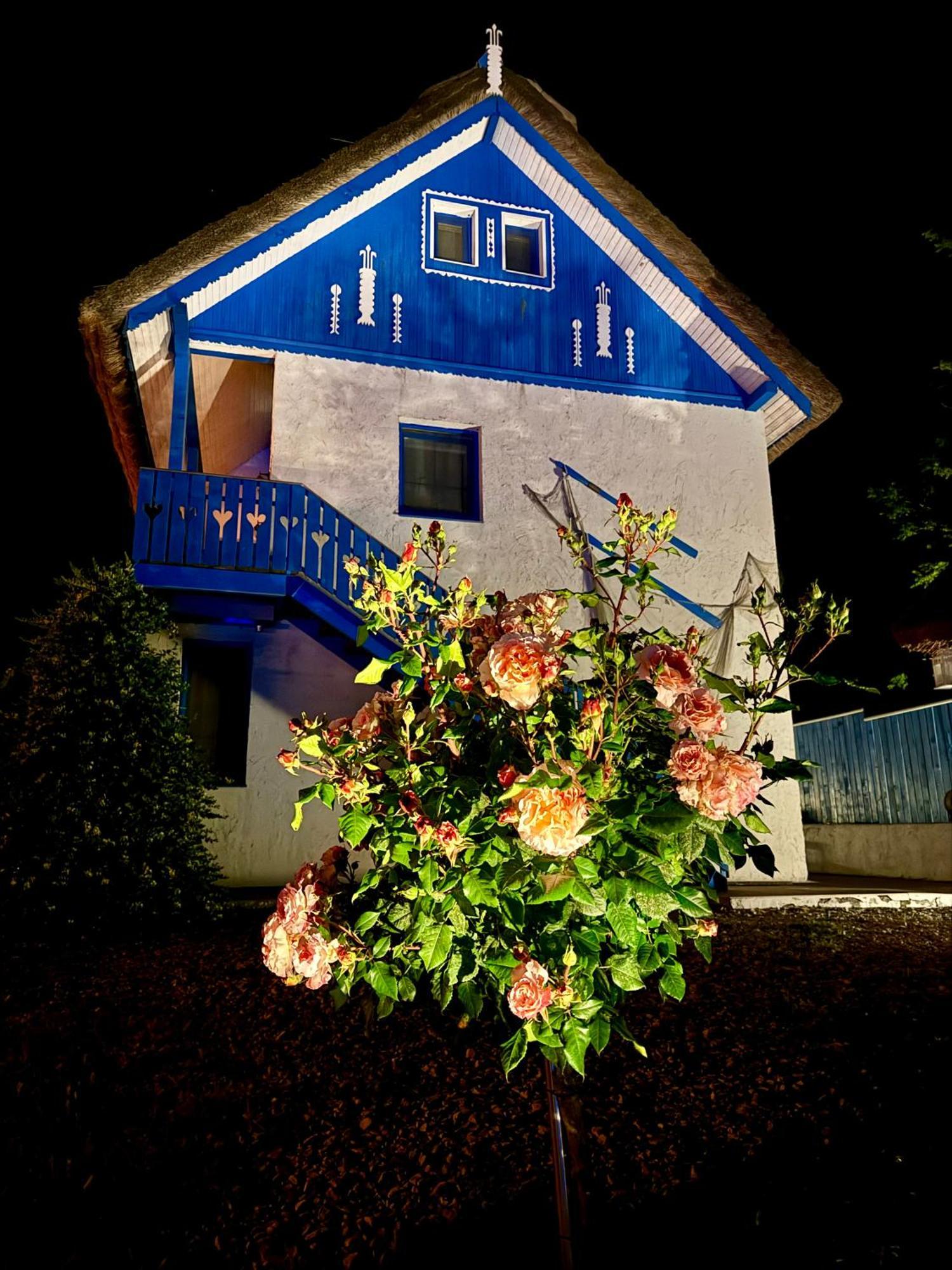 Nena Art Resort Dunavăţu de Jos المظهر الخارجي الصورة